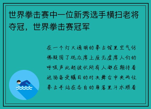 世界拳击赛中一位新秀选手横扫老将夺冠，世界拳击赛冠军